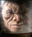 The Face Of Boe
